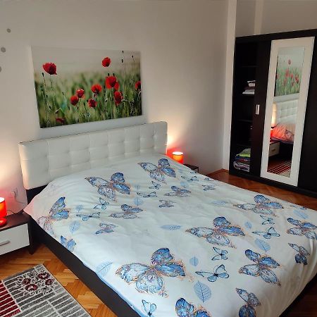 Lovely 1 Bedroom Apartment In City Centre, Sleeps 4 ! Турда Экстерьер фото
